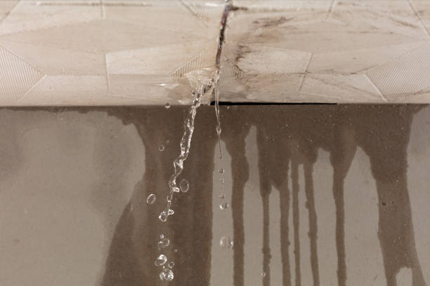 Professional Burst Pipe Cleanup technician working in Palmyra, MO